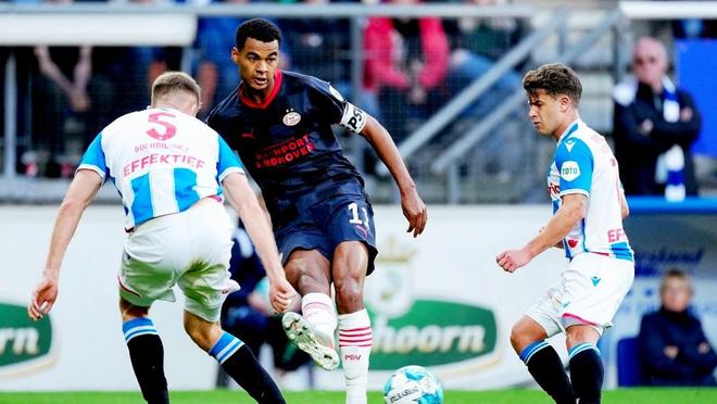 赛改正的动 赛改正的动